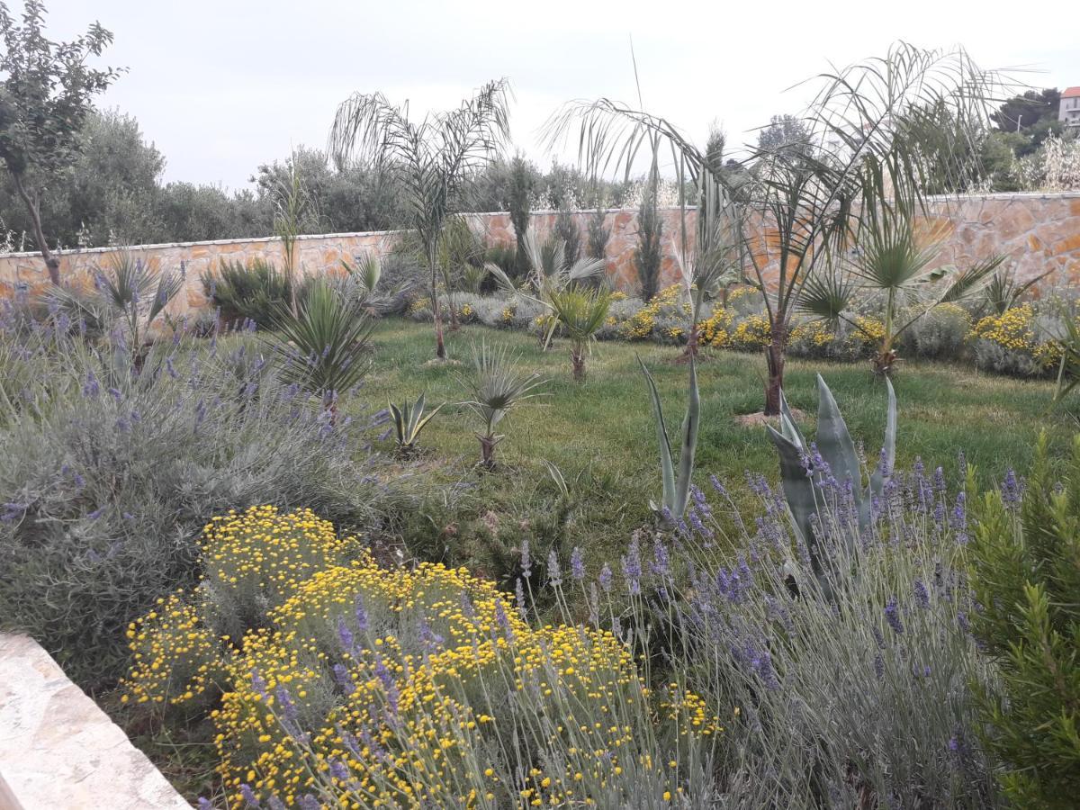 Palm Paradise Stobreč Dış mekan fotoğraf