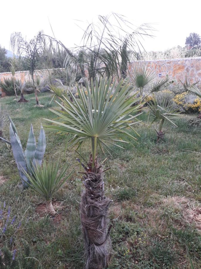 Palm Paradise Stobreč Dış mekan fotoğraf